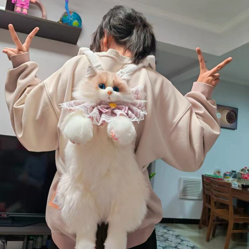 2026 New In Stock Ragdoll Cat  - Travel Accessories Gift Ideas 评论和价格