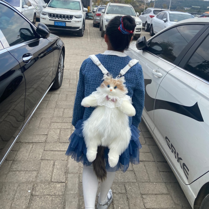 2026 New In Stock Ragdoll Cat  - Travel Accessories Gift Ideas 评论和价格